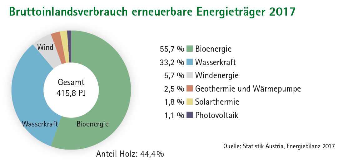 Bedeutung Der Bioenergie Biow rmepartner