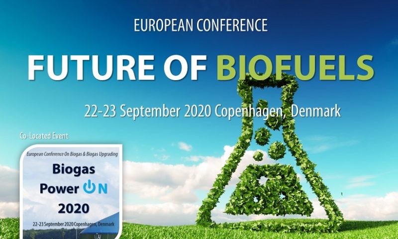Future of Biofuels 2020