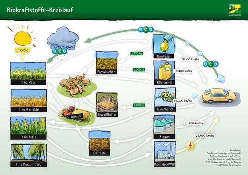 Biokraftstoffe-Kreislauf