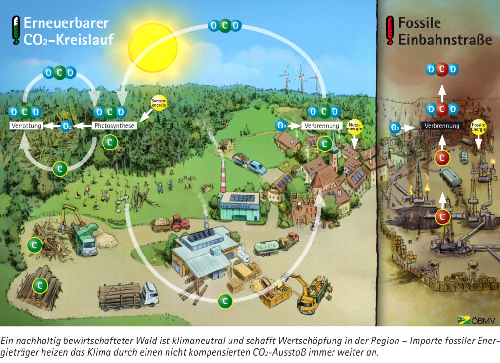 Diagramm Hasenauer CO2 Haushalt